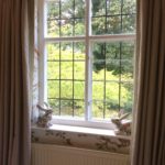 The Squirrel Room