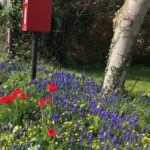 At the Grange - Cottage Garden